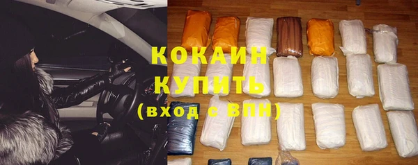 эйфоретик Вяземский