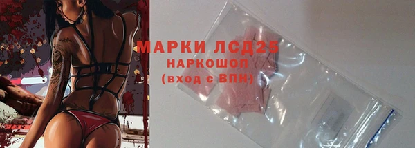 эйфоретик Вяземский