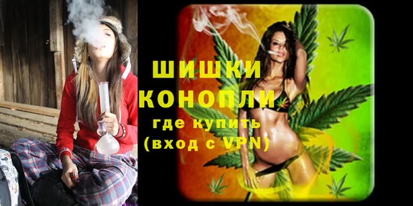 эйфоретик Вяземский