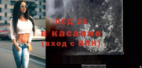 эйфоретик Вяземский