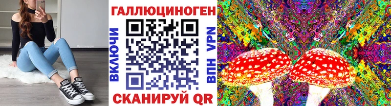 OMG ссылка  Дзержинск  Галлюциногенные грибы мицелий 