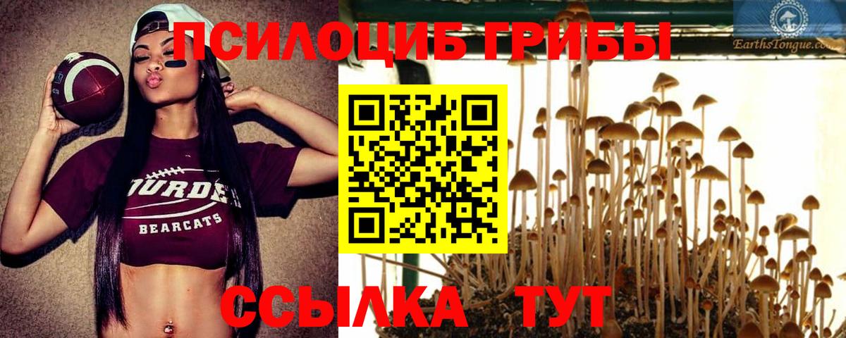 Дзержинск  Псилоцибиновые грибы прущие грибы  Вход с VPN 