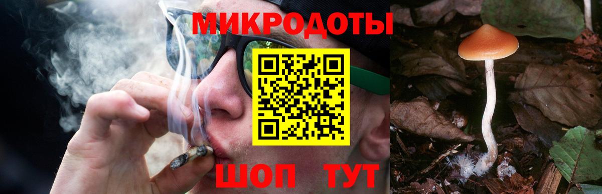 Псилоцибиновые грибы мицелий Дзержинск